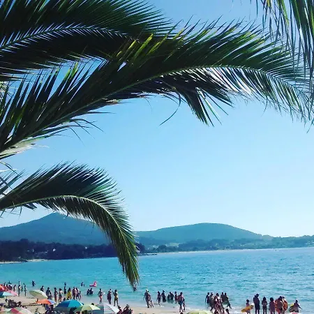 Noia Compostellae