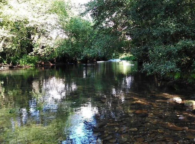 Daire Noia Compostellae