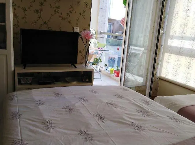 Daire Noia Compostellae Portosin