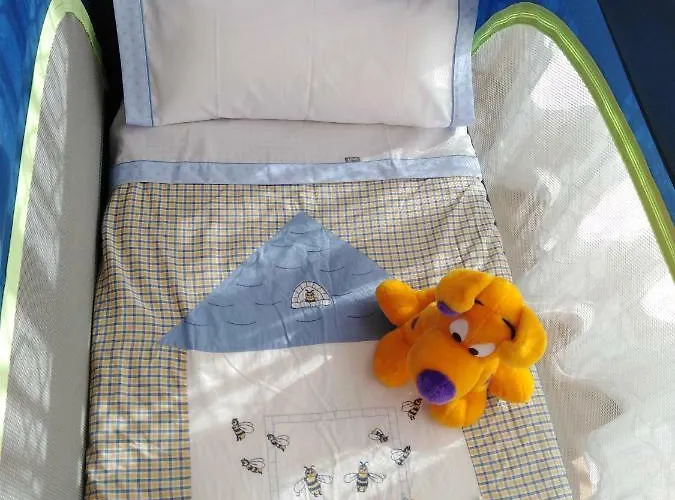 Daire Noia Compostellae