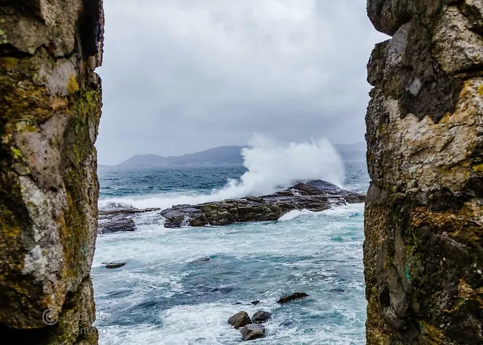 Daire Noia Compostellae