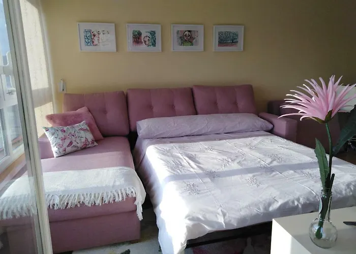 Noia Compostellae Daire *